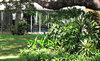 in the cool of the garden