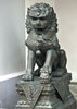 lion luck