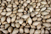 nutty textures