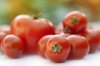 Tomatoes