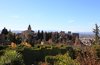 In the Alhambra
