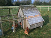 Hen coop