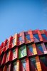 Colour House Portrait