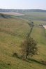 English Downs