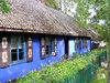 Blue cottage
