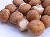 organic mushrooms