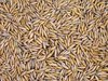 oat texture 2