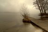 Misty morning - HDR
