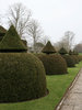 Topiary