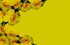 Floral Border New 2