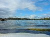 Ducks eye view