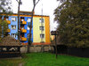 The yard