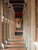 sunlit covered walkway