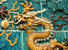 dragon closeup