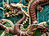 dragon closeup