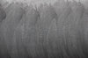 Blackboard