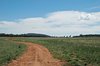 country