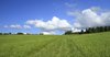 meadow