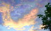 Rainbow Skies