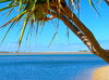 Paradise 5