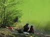 fishing in the pond