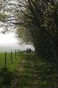 Country walk