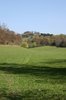 English meadow in spring