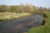 Devon river