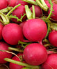 round red radishes