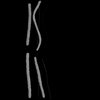 Chromosomes 1