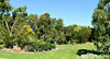 memorial park