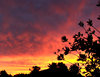 sunset sihouette