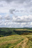Yorkshire Moors