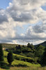 Yorkshire Moors