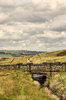 Yorkshire Moors