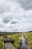 Yorkshire Moors