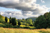 Yorkshire Moors