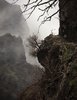 Madeira after fire