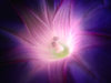 Ipomea_ Super Macro_2