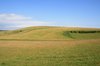 South Downs landscape 3