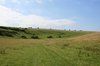 Meadow track