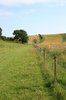 Farmland