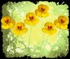 Nasturtium Abstract 1