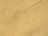 Sandy