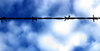 Barbed wire