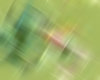 Back Blur 1