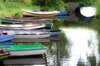 Boats