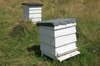 Beehives