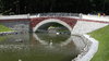 Gomel Swans