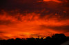 Firey Sunset